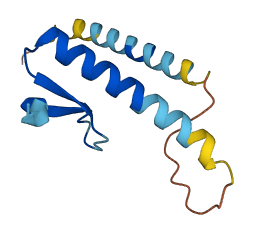 INIP 3D structure