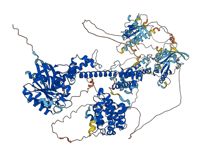 ARHGAP35 3D structure