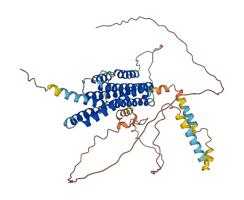 FAM114A2 3D structure