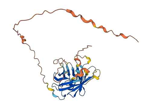 PLSCR3 3D structure