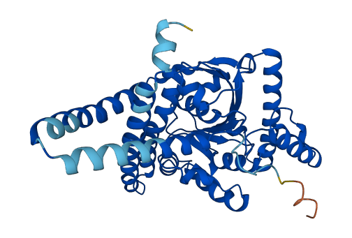 AGPAT4 3D structure