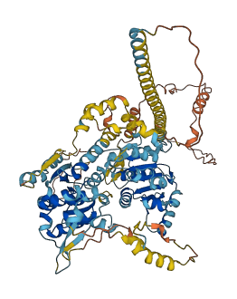 HELLS 3D structure