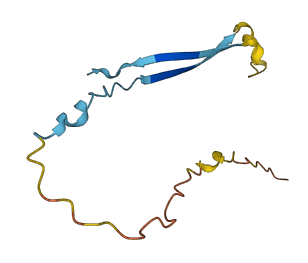 SPANXB1 3D structure