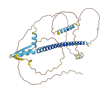 CREBZF 3D structure