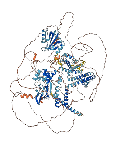 KCNH7 3D structure