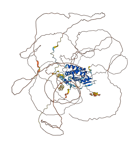 TOPORS 3D structure