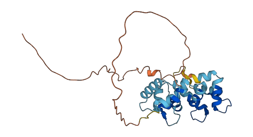 KCNIP2 3D structure