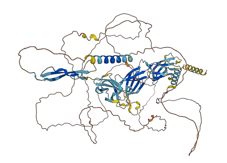 THSD1 3D structure