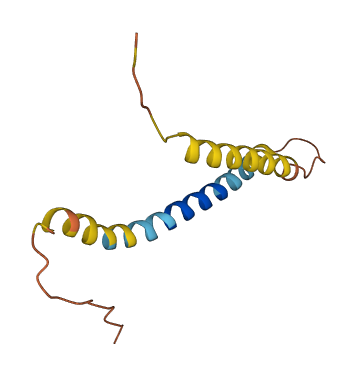 RPRM 3D structure