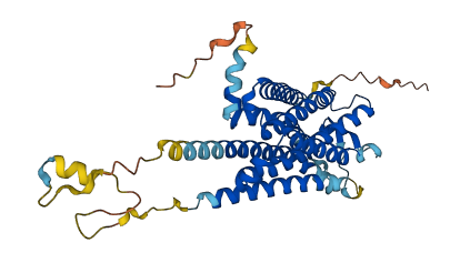 GPR173 3D structure