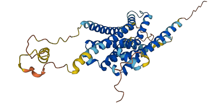 GPR27 3D structure