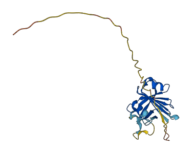 GKN1 3D structure