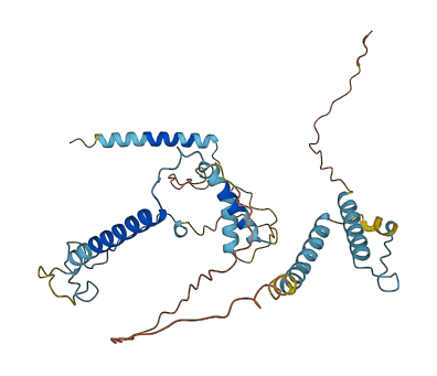 MBIP 3D structure