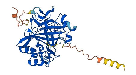 CA10 3D structure