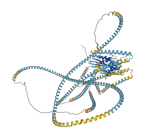 KIF15 3D structure