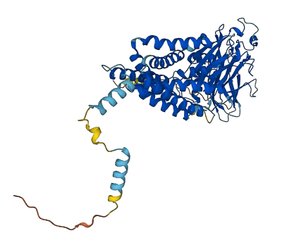 TM7SF3 3D structure