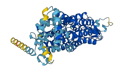 SLC22A11 3D structure