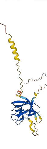 FGF21 3D structure