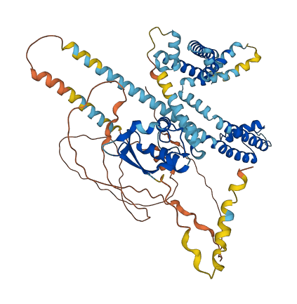 KCND1 3D structure