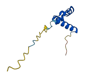 CTNNBIP1 3D structure