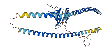 HOMER3 3D structure