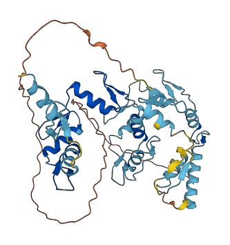 ZNF275 3D structure