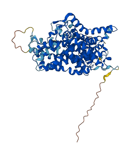 SLC6A13 3D structure