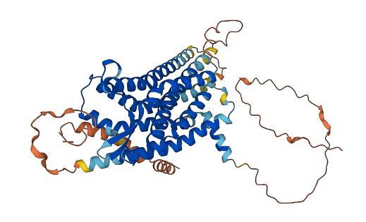 RXFP3 3D structure