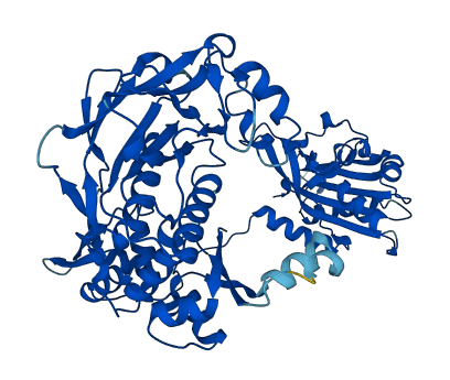 FARSB 3D structure