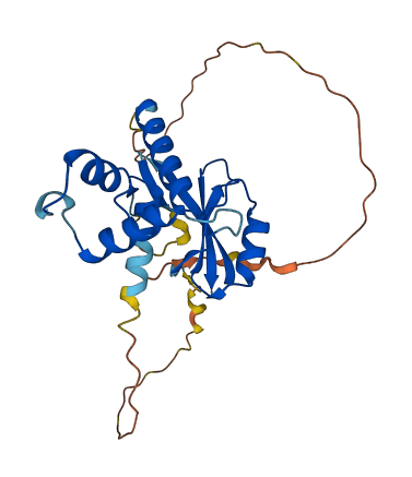 CISH 3D structure