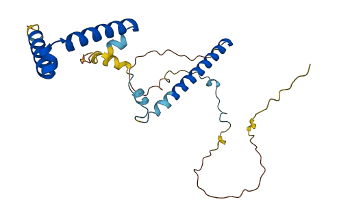 FAM207A 3D structure
