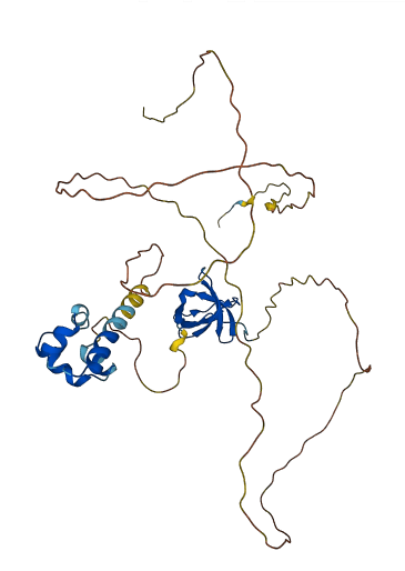 SAMSN1 3D structure