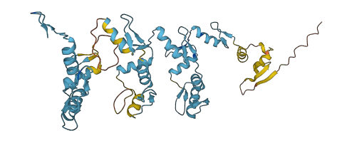 ZNF355P 3D structure