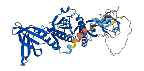 SNTG1 3D structure