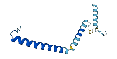 RRP7BP 3D structure