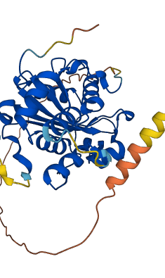 TREX1 3D structure
