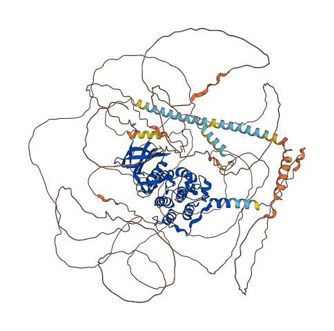 BMP2K 3D structure