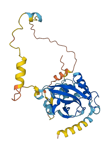 ATG3 3D structure