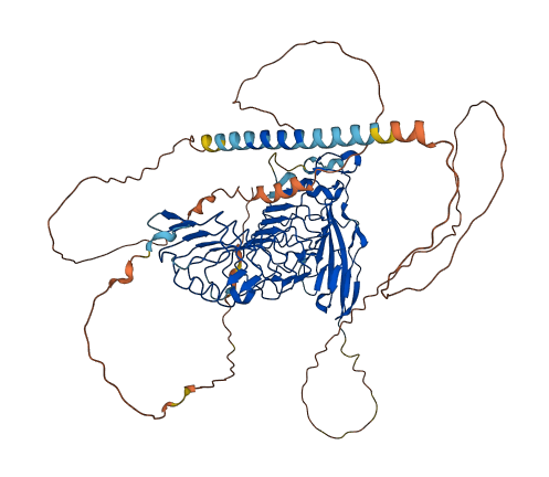 LRRC4B 3D structure