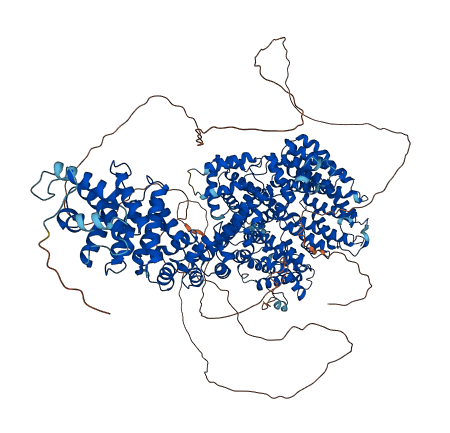 PDS5B 3D structure
