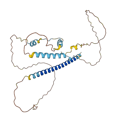 INKA2 3D structure