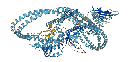 SMC4 3D structure
