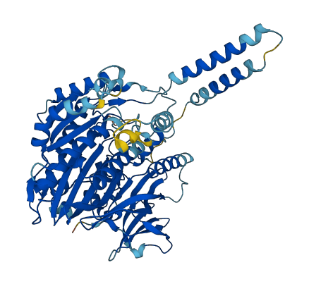 SACM1L 3D structure