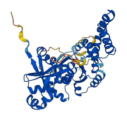 OLA1 3D structure
