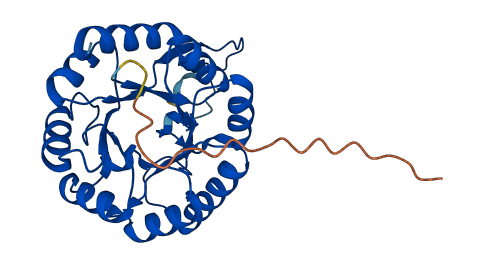 CUTC 3D structure
