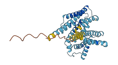 SLC35D1 3D structure