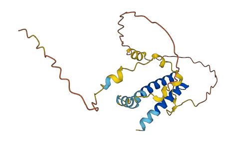CATSPERZ 3D structure