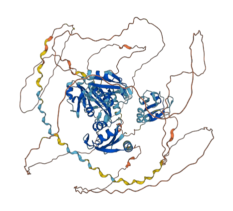 RBM12 3D structure