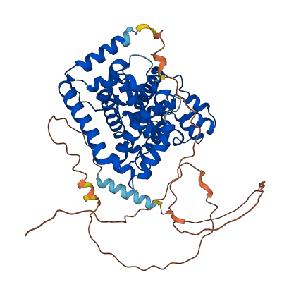 TBC1D22B 3D structure