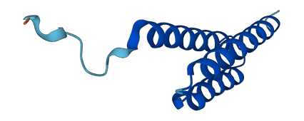 LYRM2 3D structure